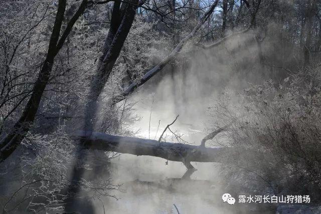 僵尸屠戮