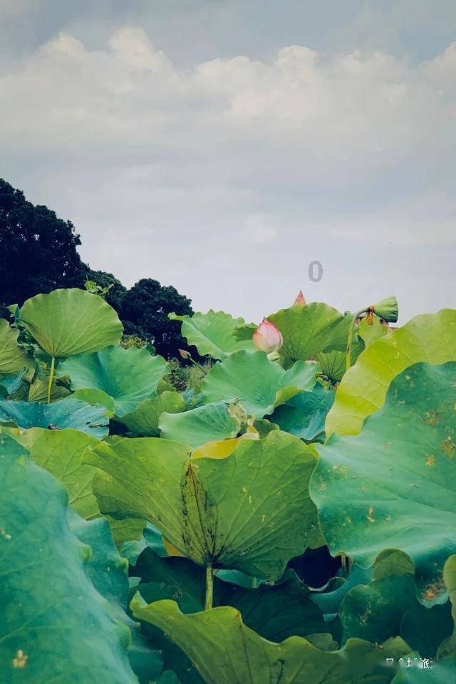 如何异地取公积金游戏画面