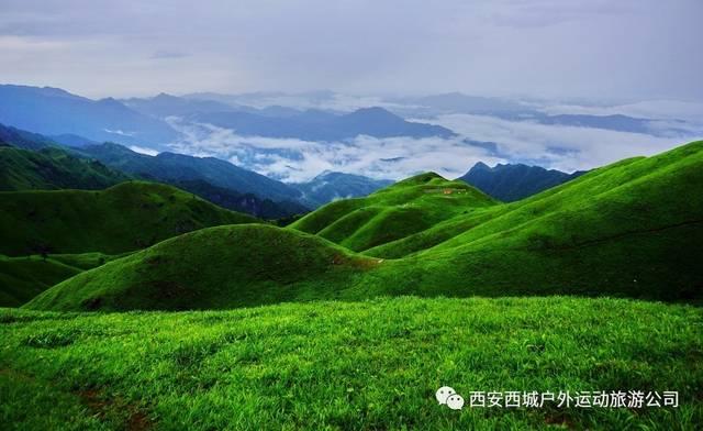 无休止的树